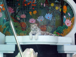 Mad Shooter group ラスベガス ミラージュ